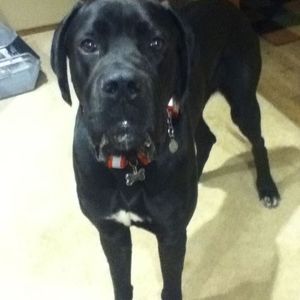 Meet your Posher, Shannen